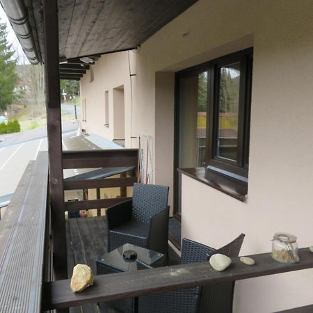 Pension Aura Špičák Zelezna Ruda Bagian luar foto
